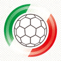 意大利国家足球队官方徽标